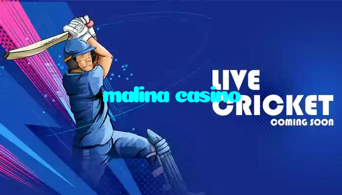 available types of malina casino bet including pre-match live express and system bets