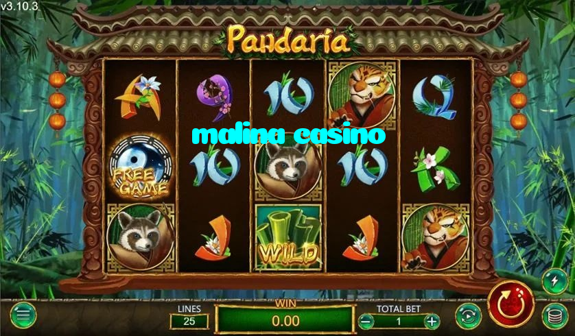 malina casino casino presented on mobile device in Pakistan with slots and live games