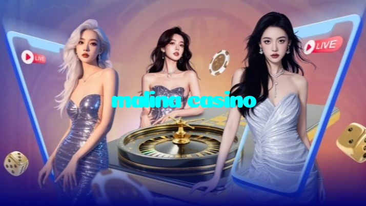 available types of malina casino bet including pre-match live express and system bets